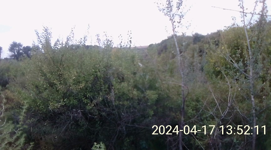  Bedroom Property for Sale in Koppies Rural Free State
